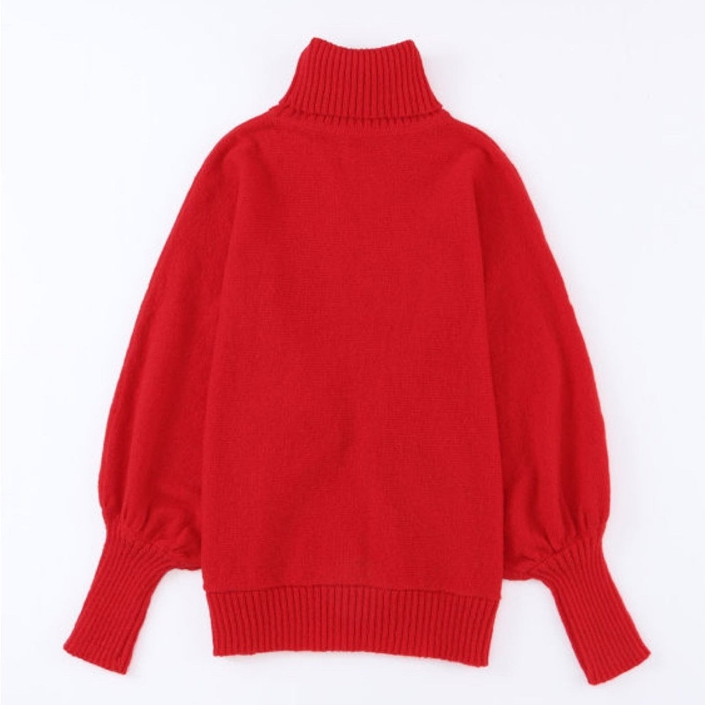 Noel holiday "Merry" sweater!